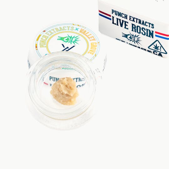 Punch Edibles & Extracts - Gen Z x Banana Papaya Tier 4 Live Rosin Cold Cure Badder (1g) - 1