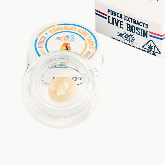 Punch Edibles & Extracts - Grease Bucket 2025 Tier 2 Live Rosin Cold Cure Badder (1g) - 1
