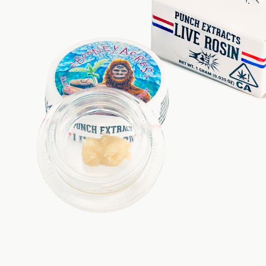 Punch Edibles & Extracts - Zlemoncane Passionfruit Tier 1 Live Rosin Cold Cure Badder (1g) - 1