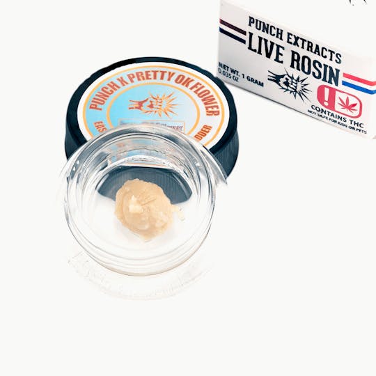 Punch Edibles & Extracts - East Coast Kush Junky Silver Tier Live Rosin Cold Cure Badder (1g) - 1