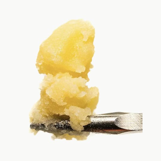 Animal - 1G Budder - Grease Monkey - 1