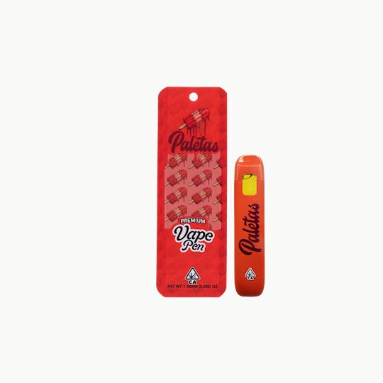 Paletas - Watermelon Splash - 1