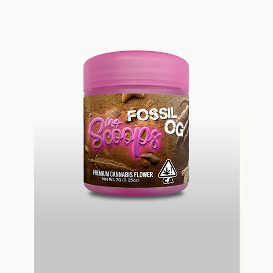 Ms. Scoops - Fossil OG 7G - 1
