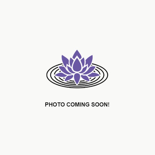 Ripple Wellness - Concentrate - Cured Badder - JFK + Bolo Runtz - 1