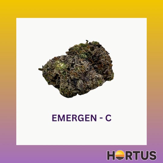 Hortus - Emergen - C - 1