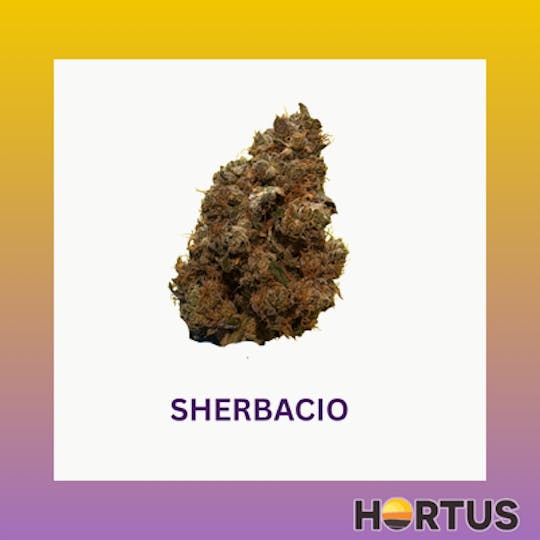 Hortus - Sherbacio - 1