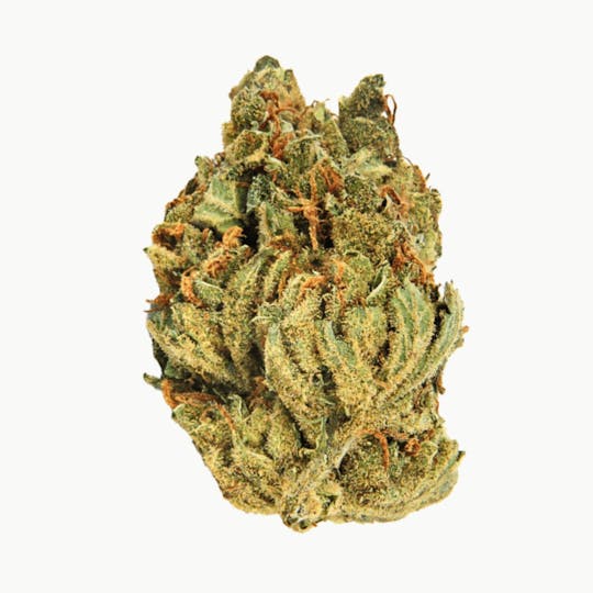 Terp Valley Farms - Ice Cream Cake x Sour Diesel BX Flower 1 Oz. - 1