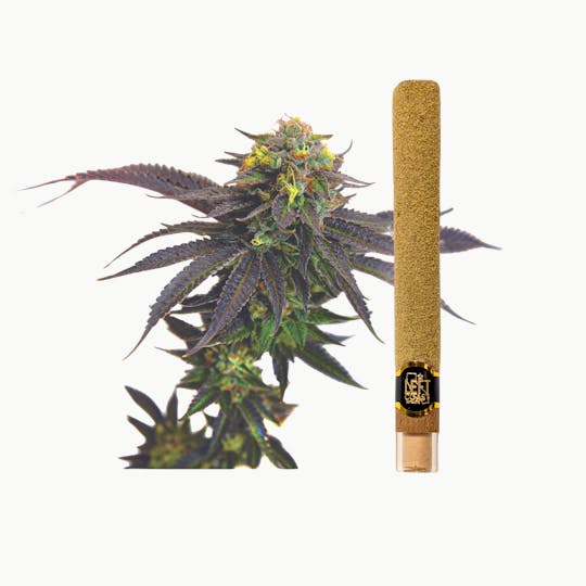 LEFT COAST - 2G - Grape Cookies Infused Blunt Roll - 1