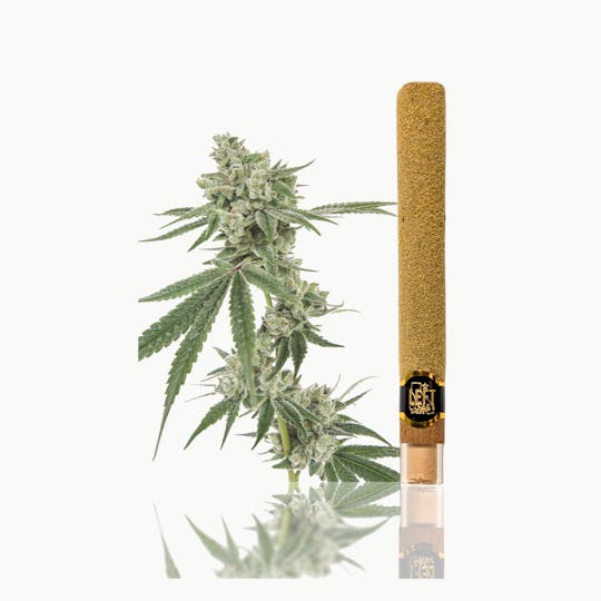 LEFT COAST - 2G - Maui Waui Infused Blunt Roll - 1