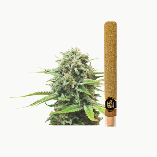 LEFT COAST - 2G - Monster Cookies Infused Blunt Roll - 1