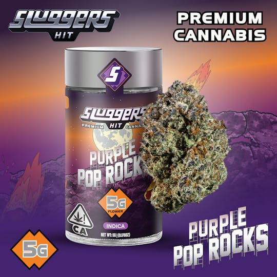 Sluggers Hit - Sluggers - Jarred Flower - 5g - Purple Pop Rocks - 1
