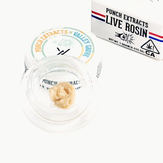 Punch Edibles & Extracts - Tropicanna Pie Tier 4 Live Rosin Cold Cure Badder (1g) - 1