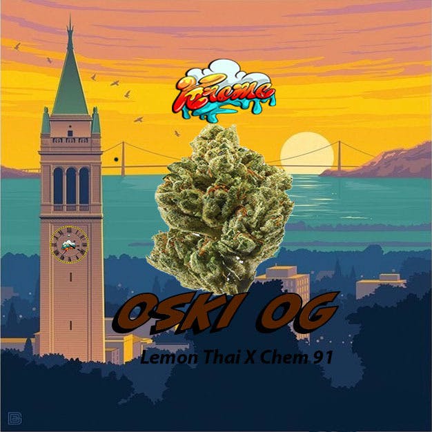 Kreme - Oski OG-14G - 1