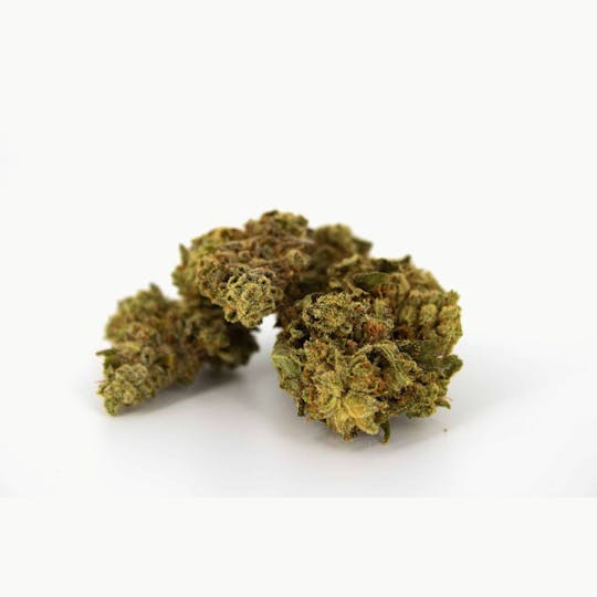 Magic Brothers - Gorilla Glue (Hybrid) - Top Shelf Flower - 1/2oz. 14g. - 1