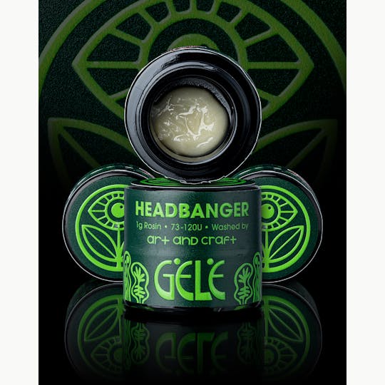 The Garden of Gele - Headbanger Live Rosin - 1