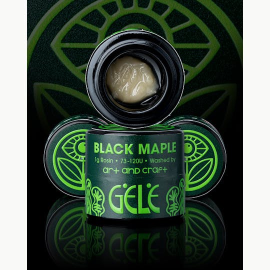 The Garden of Gele - Black Maple Live Rosin - 1
