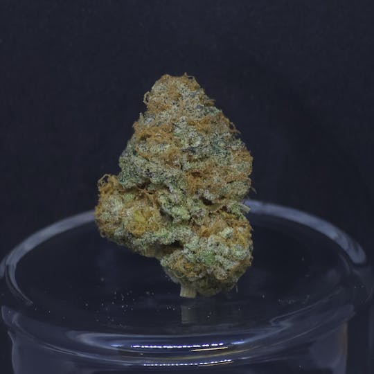 BAM Alaska - Bubble Gum cAKe 1.5g Fat Boy - 1
