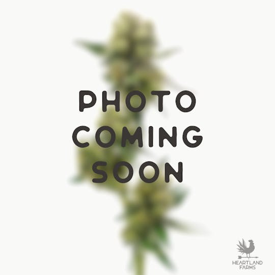 Heartland Farms - Rose Gold Runtz - 1