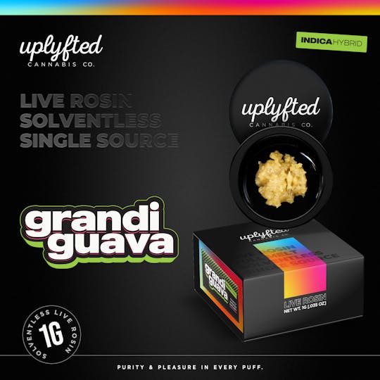 Uplyfted Cannabis Co - Live Rosin 90u - Grandi Guava - 1
