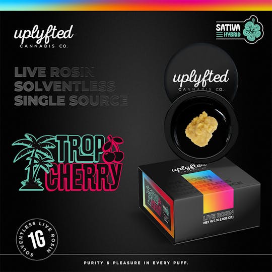 Uplyfted Cannabis Co - Live Rosin 90u - Trop Cherry - 1