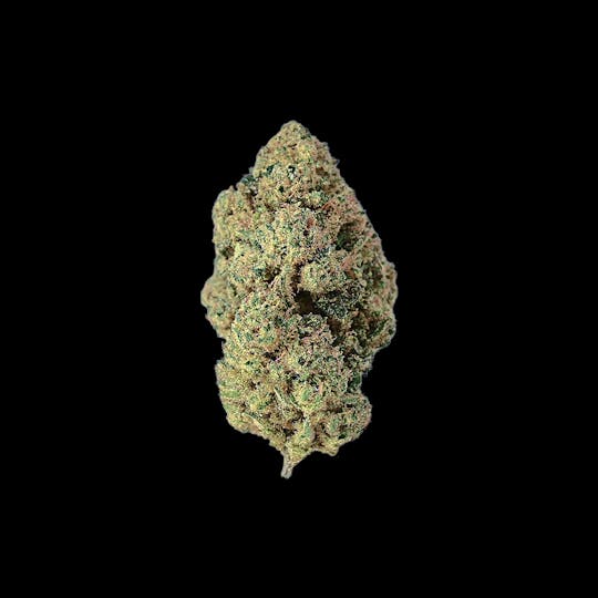 Auraz - Blizzard | Premium Flower - 1