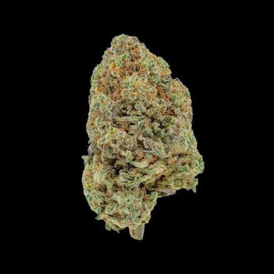 Auraz - Meringue | Premium Flower - 1