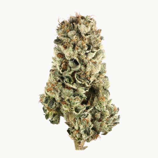 Magic Brothers - Cherry Nova (Indica-Hybrid) - Top Shelf Flower - 1/2oz. 14g. - 1