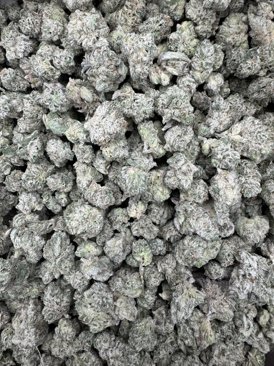 GreenOut - CAKE POP (Smalls) - 1