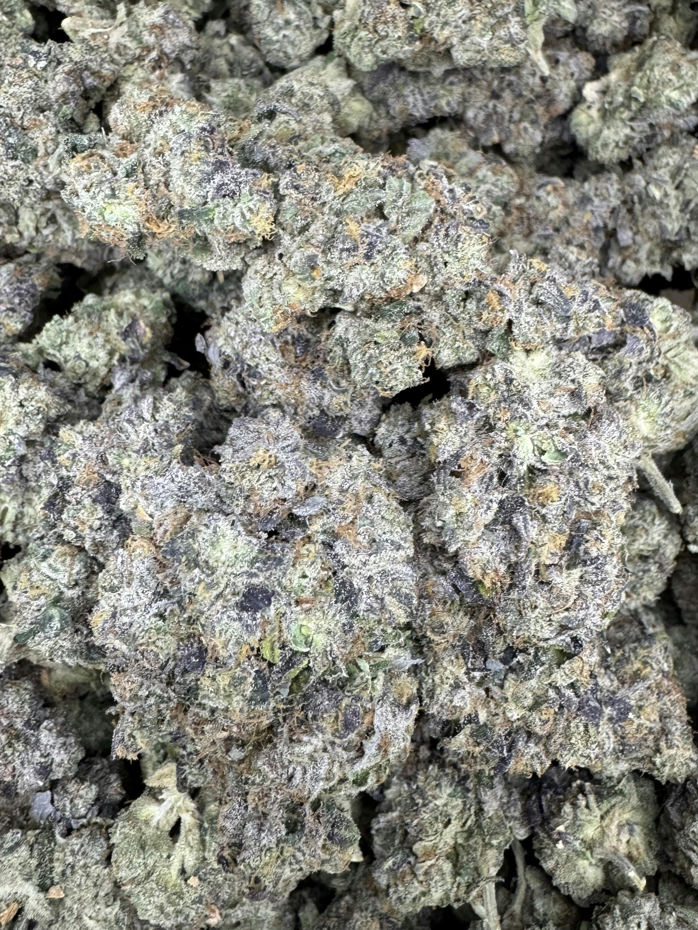 GreenOut - GELATO 33 - 1