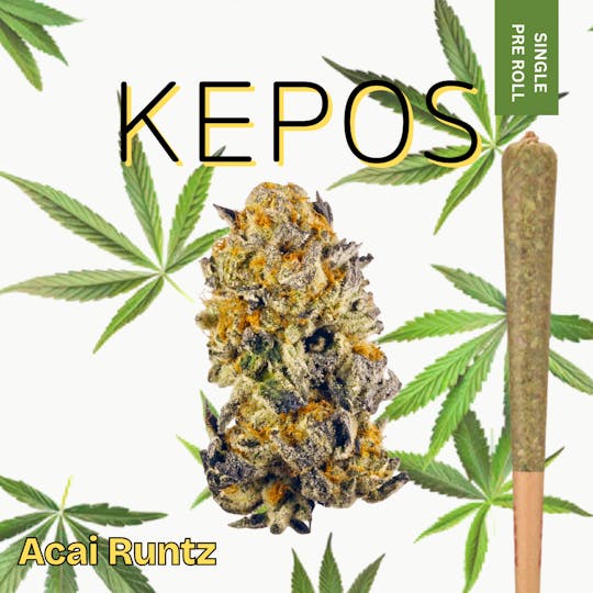 Nu Cannabis Brand - Kepos - Acai Runtz 1.2g Pre-Roll - PREMIUM FLOWER - 1