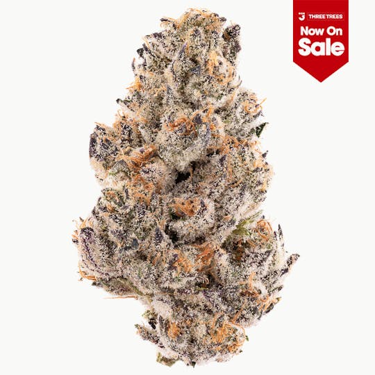 Three Trees - Treasure Truffle Flower 3.5g - 1