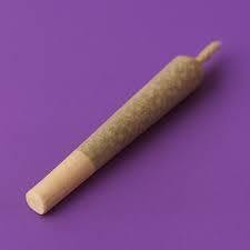 Original Intelligence - Original Intelligence Blue Dream 1g Preroll - 1