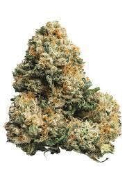 Original Intelligence - Original Intelligence Legend OG 28g Sun Grown Flower - 1