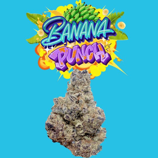 SUPPLY LA - Banana Punch | Top Shelf Exclusive | Limited Drop! | 28g | Ounce - 1