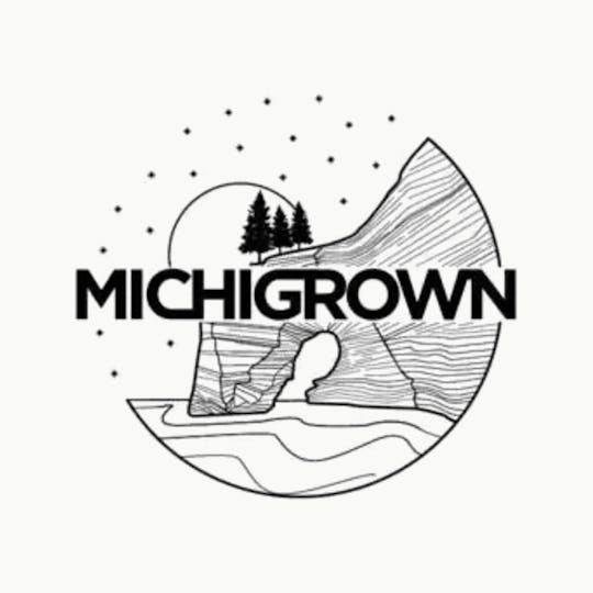 MICHIGROWN - PINEAPPLE BURST - 28 GRAMS - PREMIUM FLOWER - JARS - 1