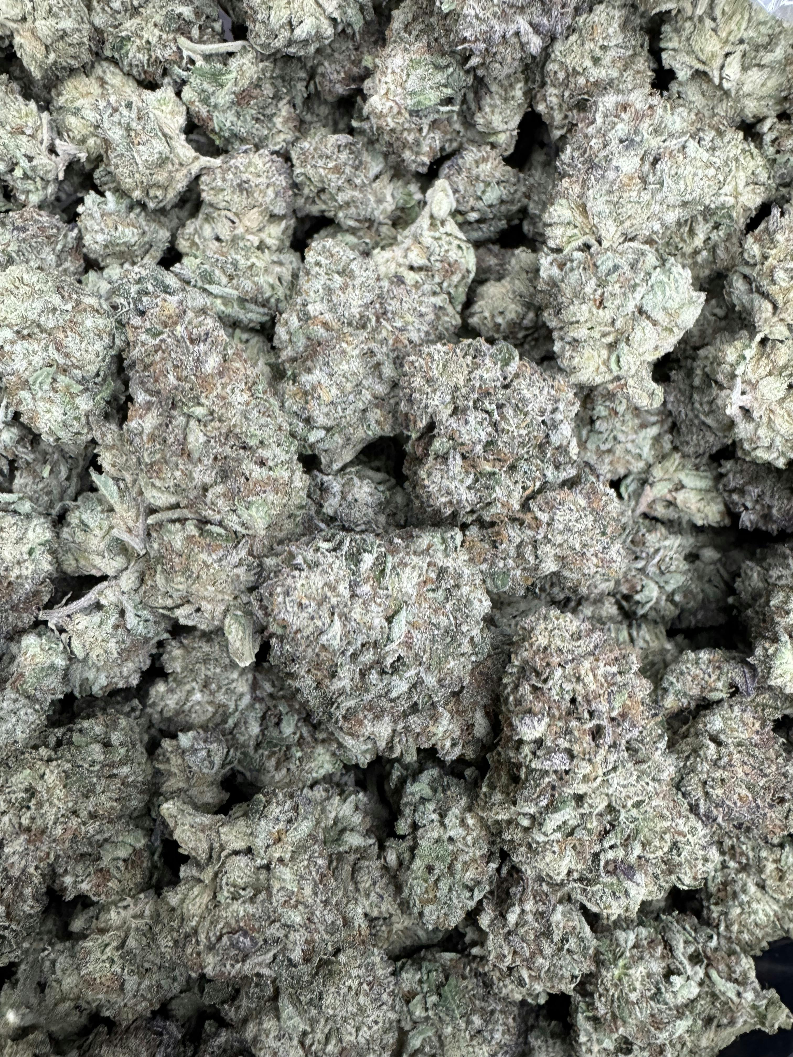 GreenOut - ICE CREAM CAKE - 1