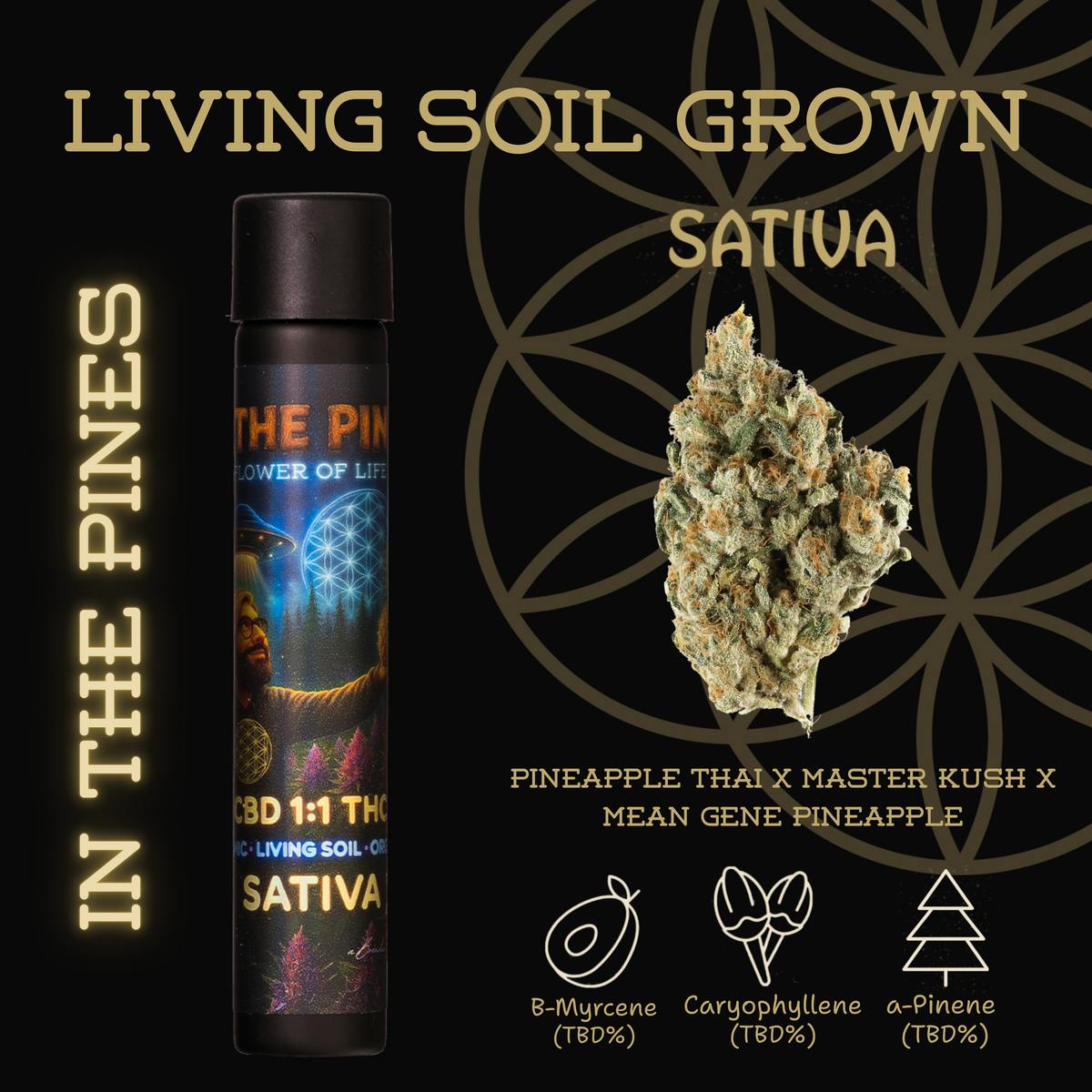 Flower of Life - In The Pines 1:1 | Preroll | 1g - 1