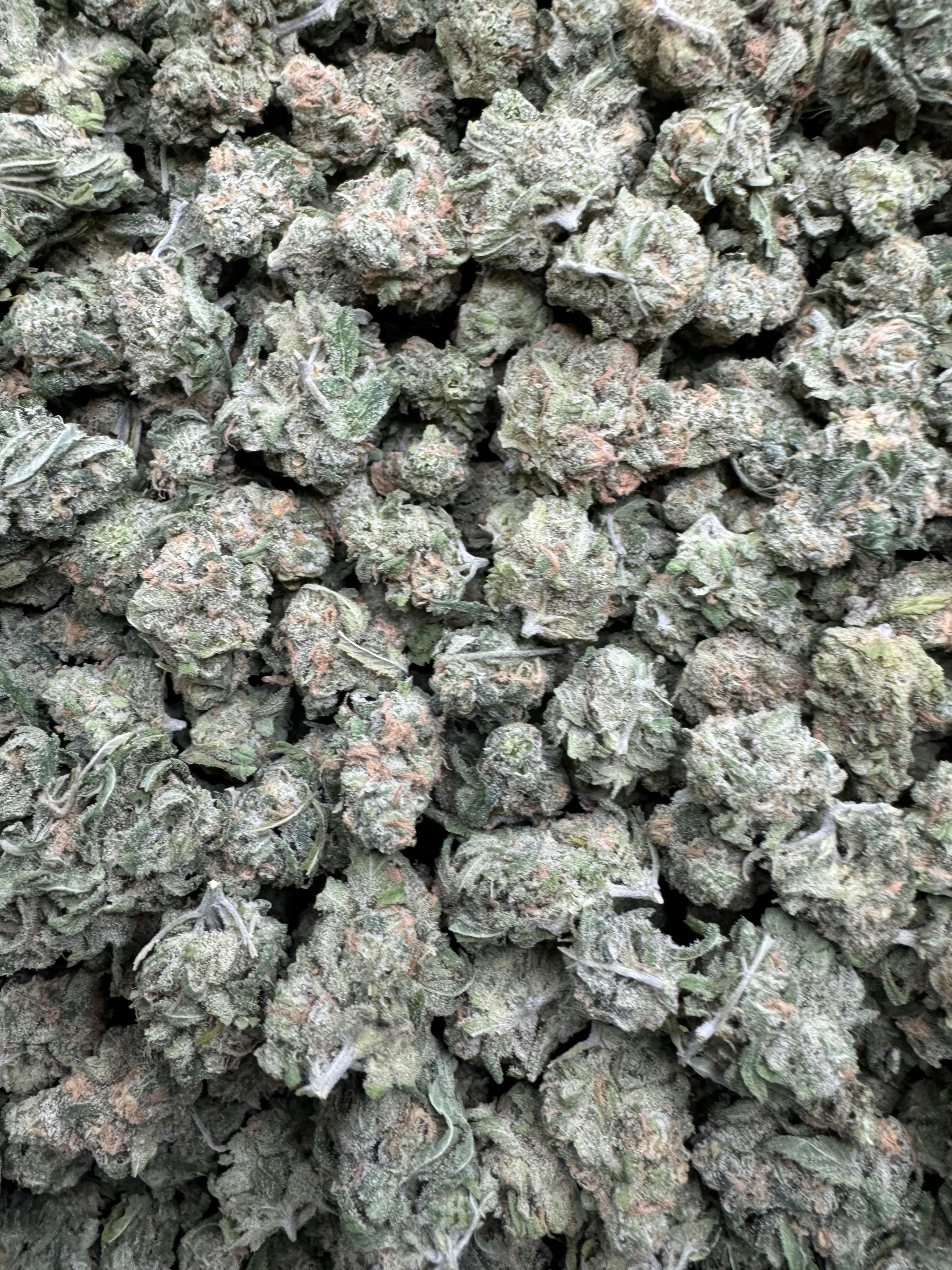 GreenOut - BLUE DREAM (Smalls) - 1