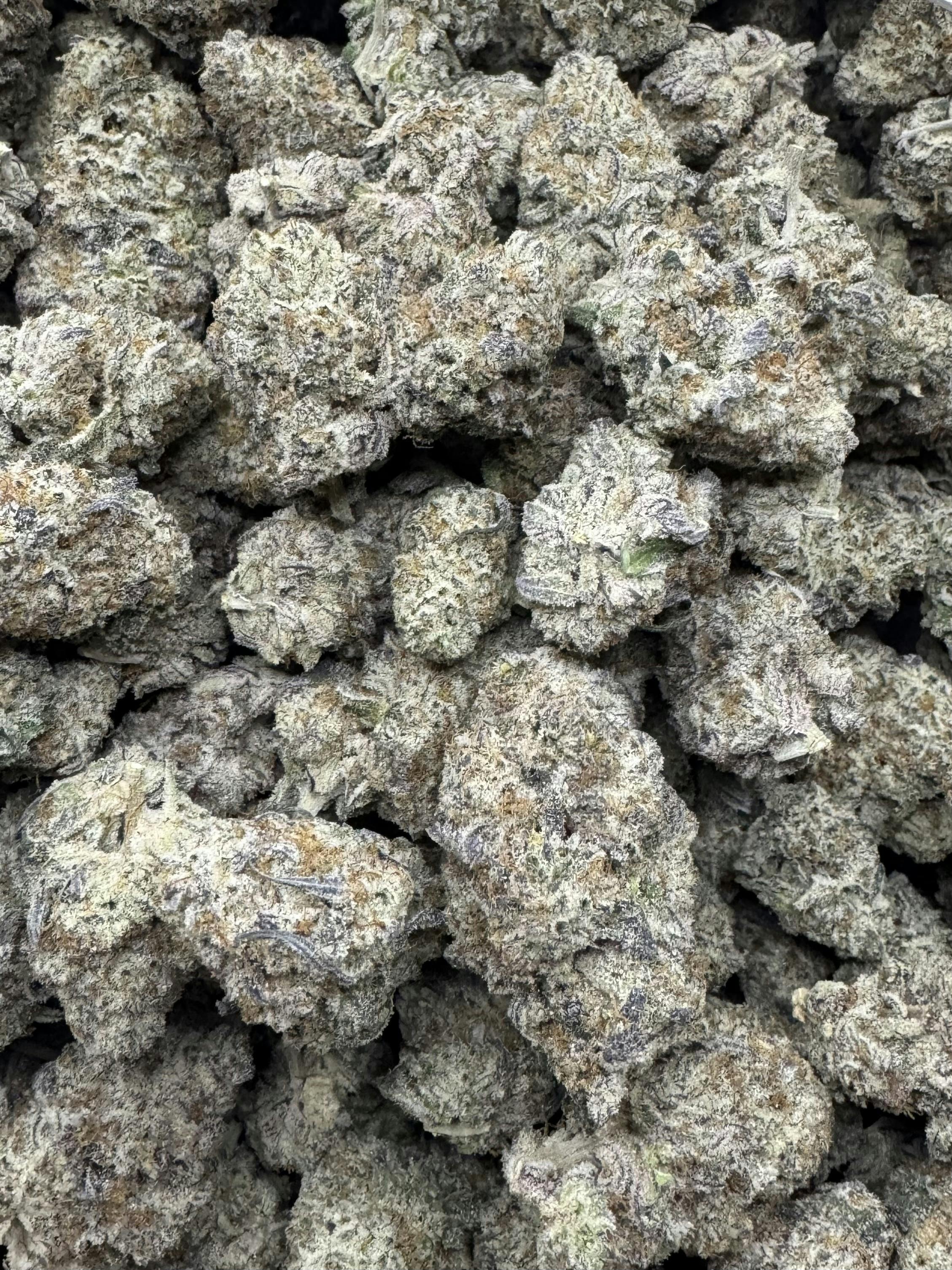 GreenOut - Black Ice - 1