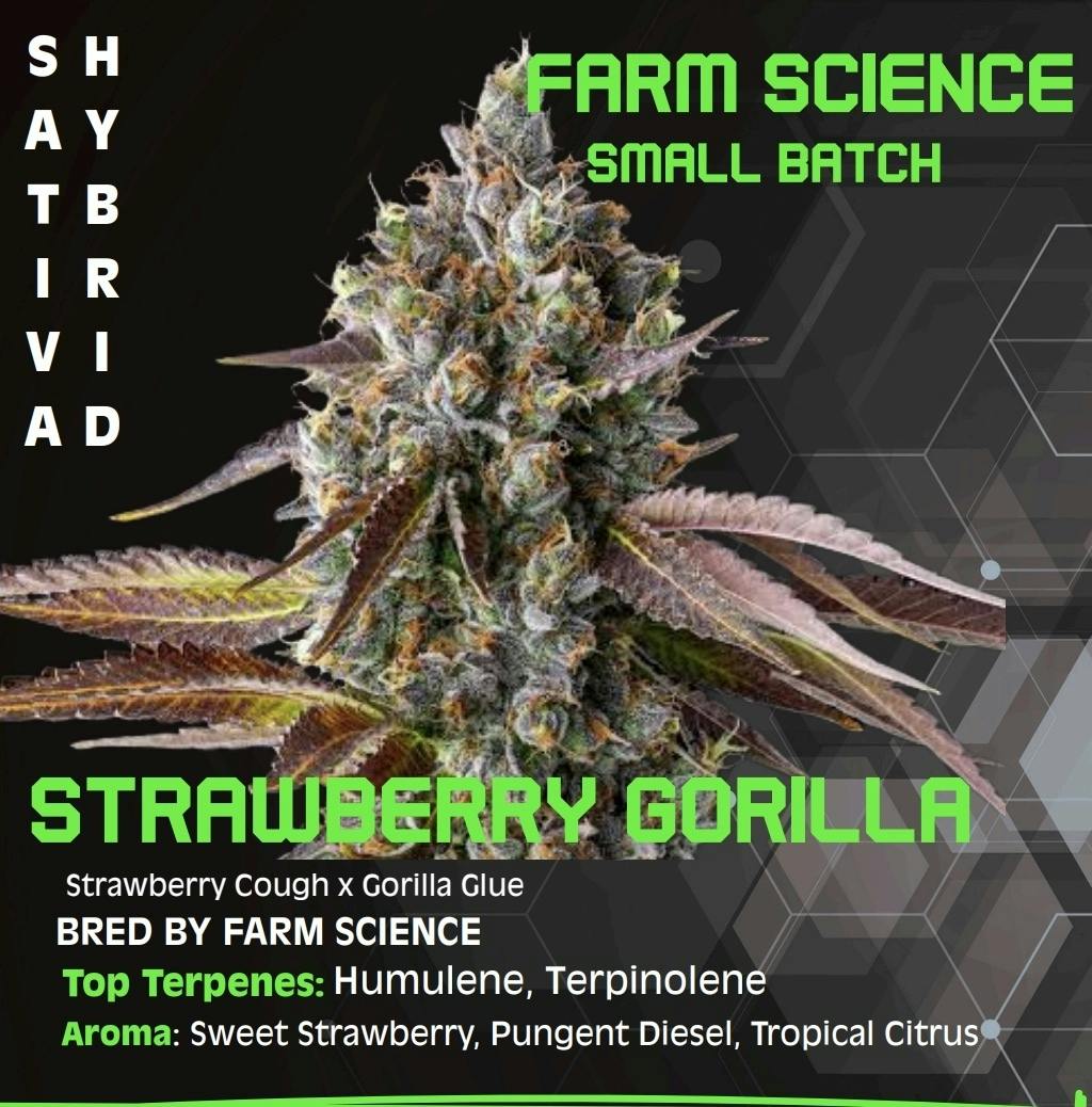 Farm Science - Farm Science | Strawberry Gorilla | Flower | 3.5g - 1