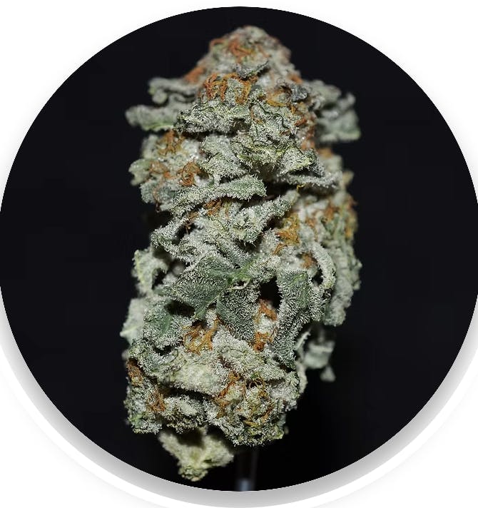 DNS Solutions - Apes In Space | 3.5g - 1