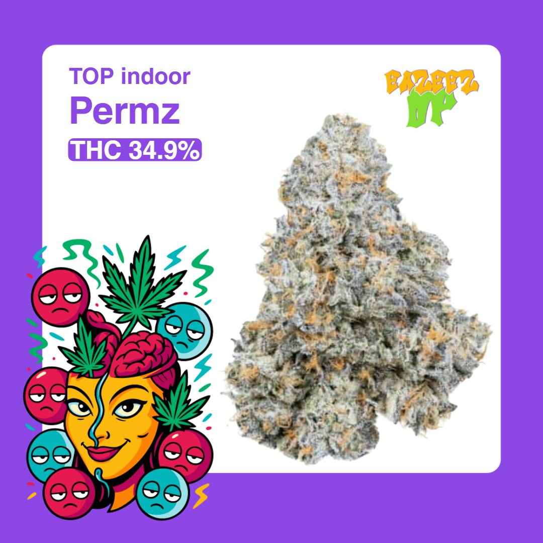 EAZEEZ UP - Permz- Top Indoor - New Drop- (3.5g-1/8oz) - Hybrid - 1