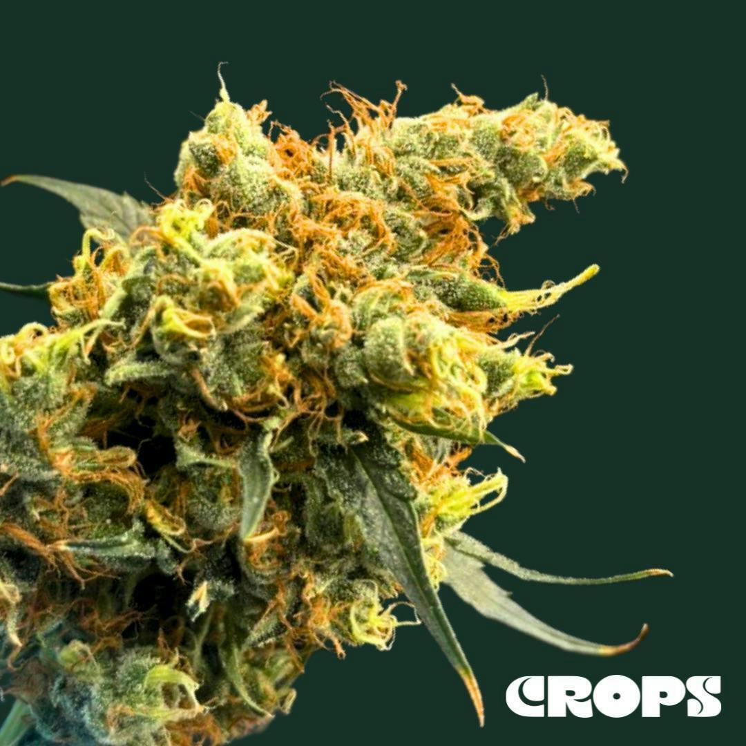 Crops Cannabis - Road Trip | 7g - 1