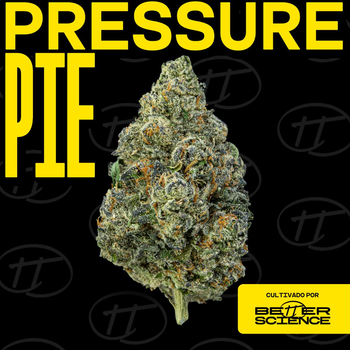 Better Science - BSC - Pressure Pie - Flor - 1