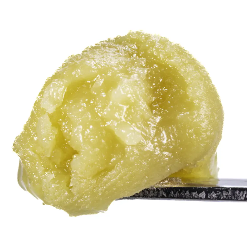 West Coast Cure Banana Punch - 1G Live Rosin Cold Cure Badder - Tier 2