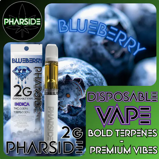 blueberry tobacco vape Ice kit | Rechargeable DIME Vape - Blueberry Haze
