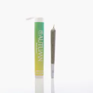 Preroll 1g Sativa Main Squeeze