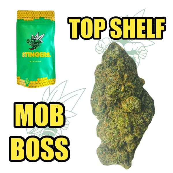 Stingers - Mob Boss - 14 gram ( 🔝 SHELF ) - 1
