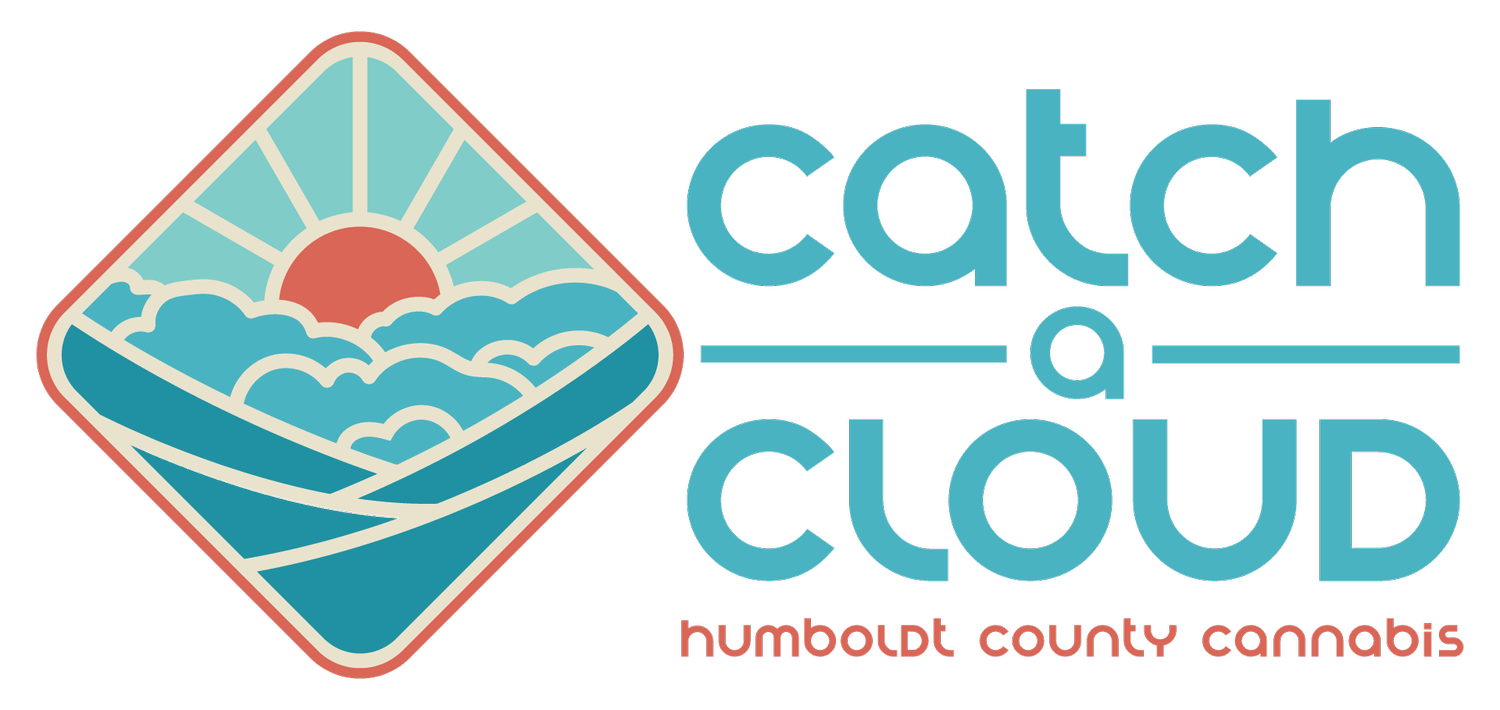 Catch A Cloud - Catch a Cloud | Gas Tank | Flower | 7g - 1