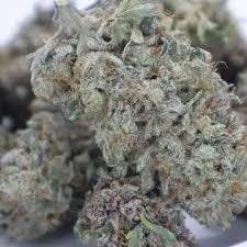 Royal Highness - Duchess Icy Gushers 3.5g - 1